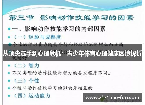 从顶尖选手到心理危机：青少年体育心理健康困境探析