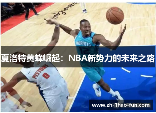 夏洛特黄蜂崛起：NBA新势力的未来之路